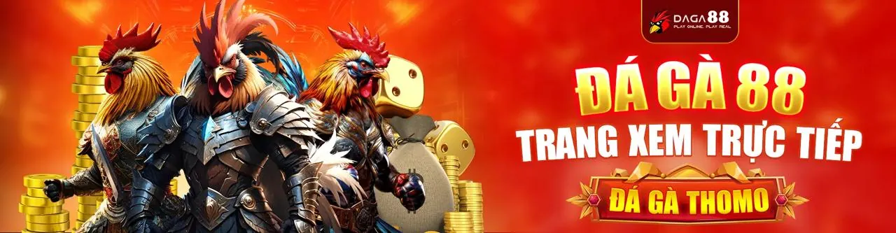 Đá Gà Trực Tuyến Kịch Tính tại Wibo88 Link Vào